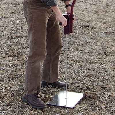 Summer beach concept