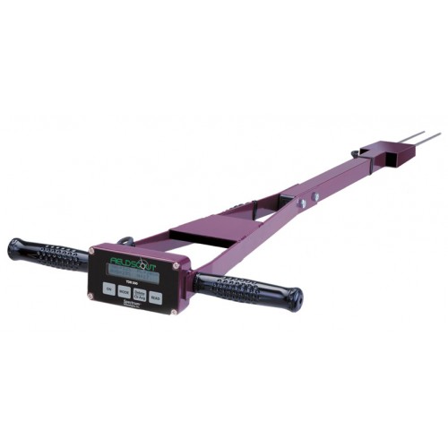 Summer beach concept