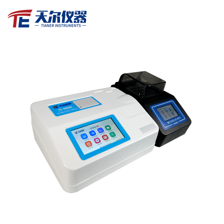 Summer beach concept