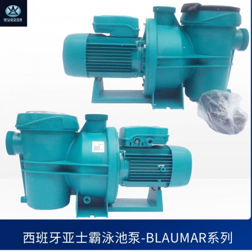 进口亚士霸泵BLAUMAR S2 300-36M泵