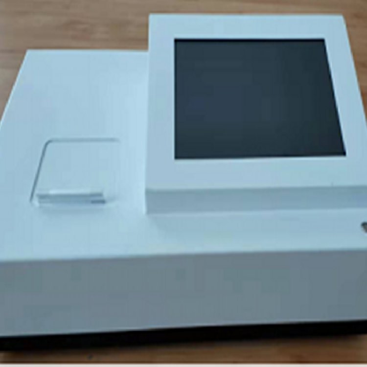 Summer beach concept