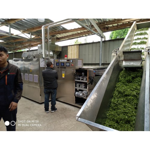 茶叶杀青机,微波光波茶叶杀青机