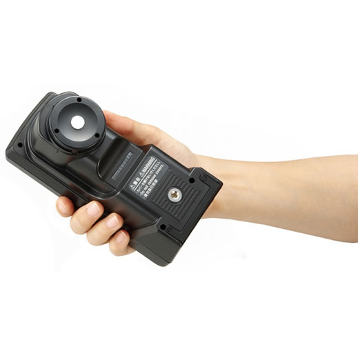 Summer beach concept