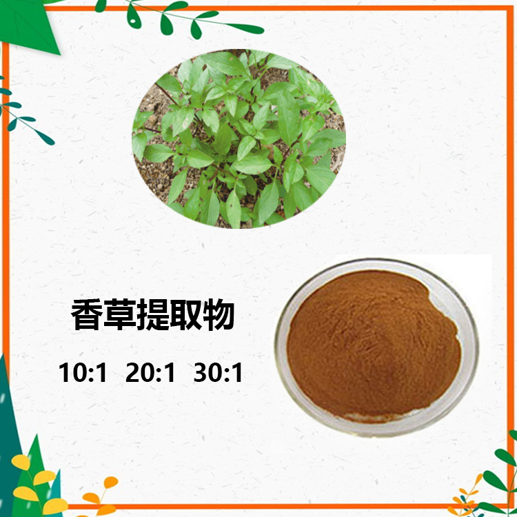 Summer beach concept