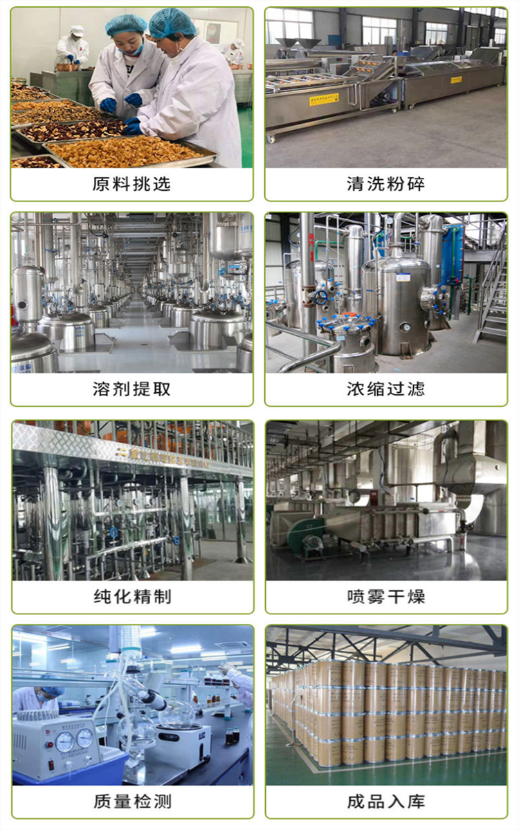 工厂展示图_副本