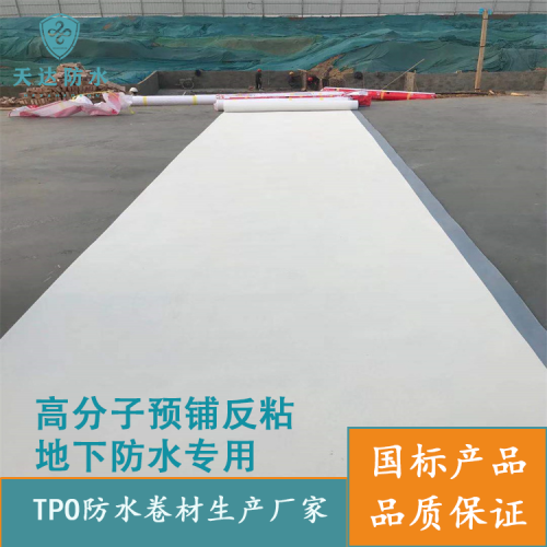预铺反粘TPO防水卷材 TPO防水卷材地下侧墙基坑车库顶板
