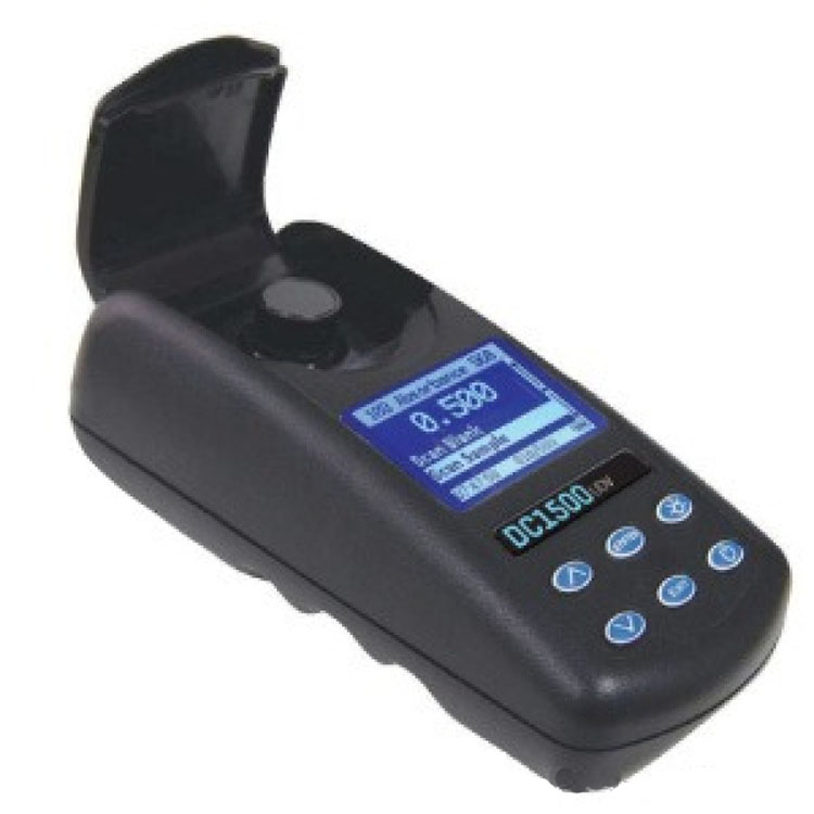 Summer beach concept