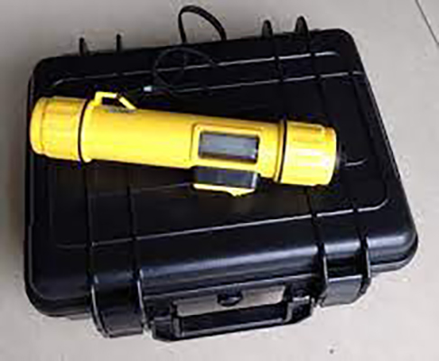 Summer beach concept