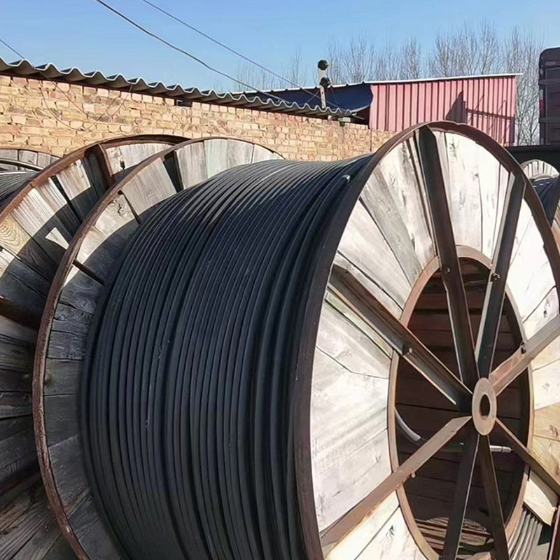 Summer beach concept