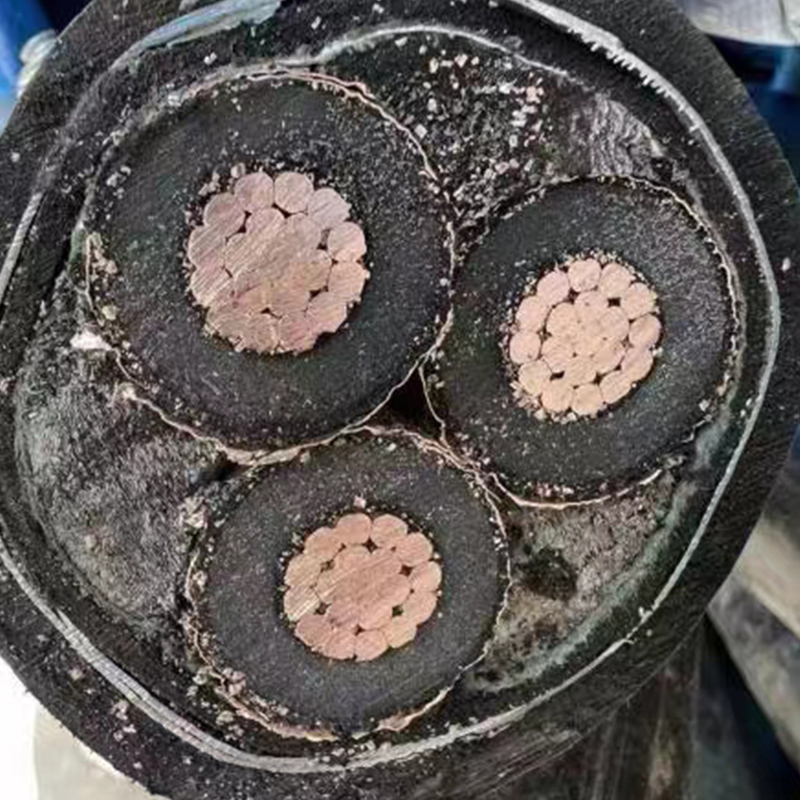 Summer beach concept