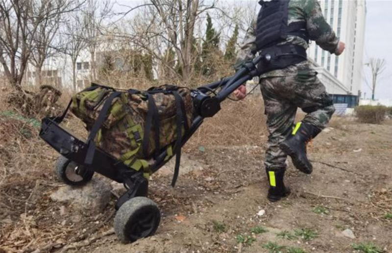 Summer beach concept