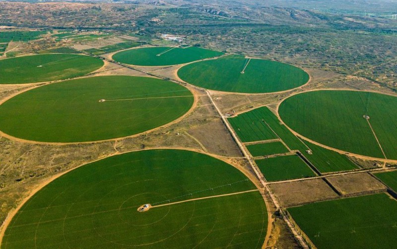 Summer beach concept