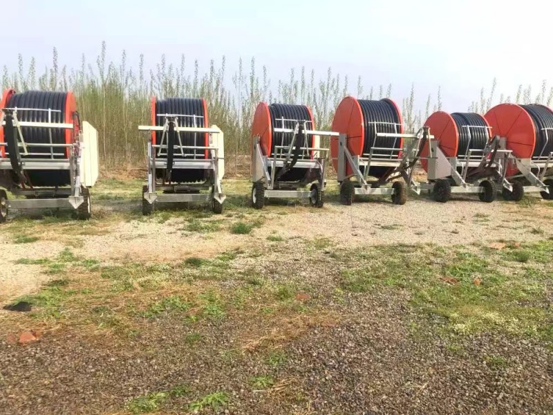 Summer beach concept