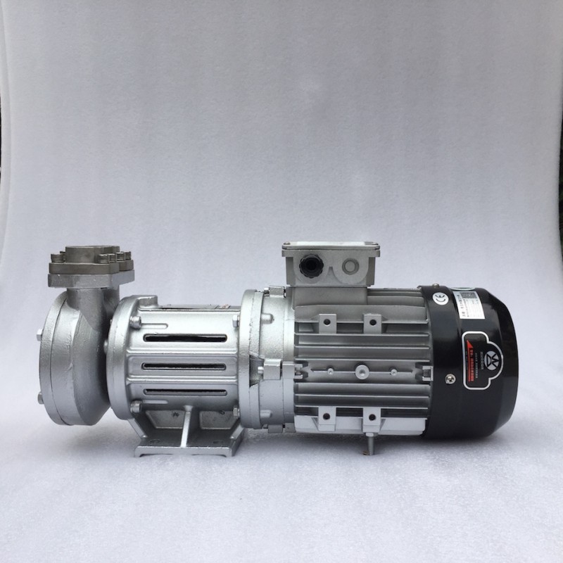 Summer beach concept