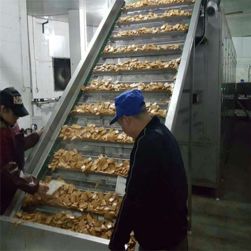 网带式烘干机  蔬菜烘干机  水果烘干机