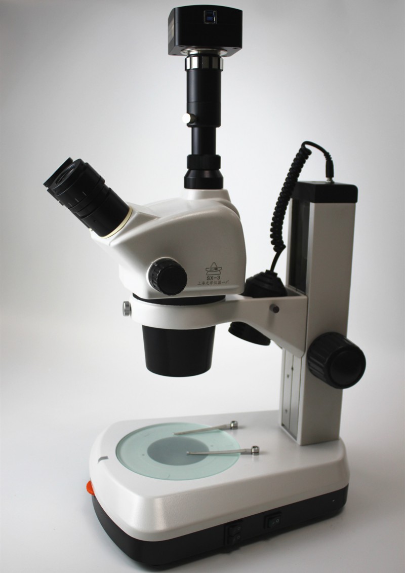 Summer beach concept