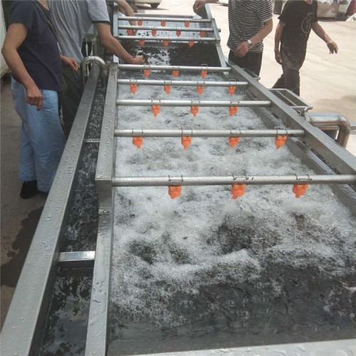 气泡清洗机  肉制品翻浪清洗机  酸笋清洗机器