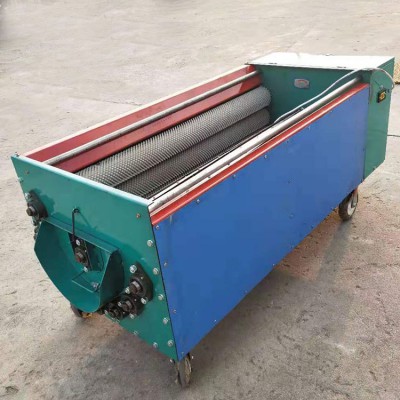 大型青核桃剥壳机 核桃去皮清洗一体机 大中小型可选