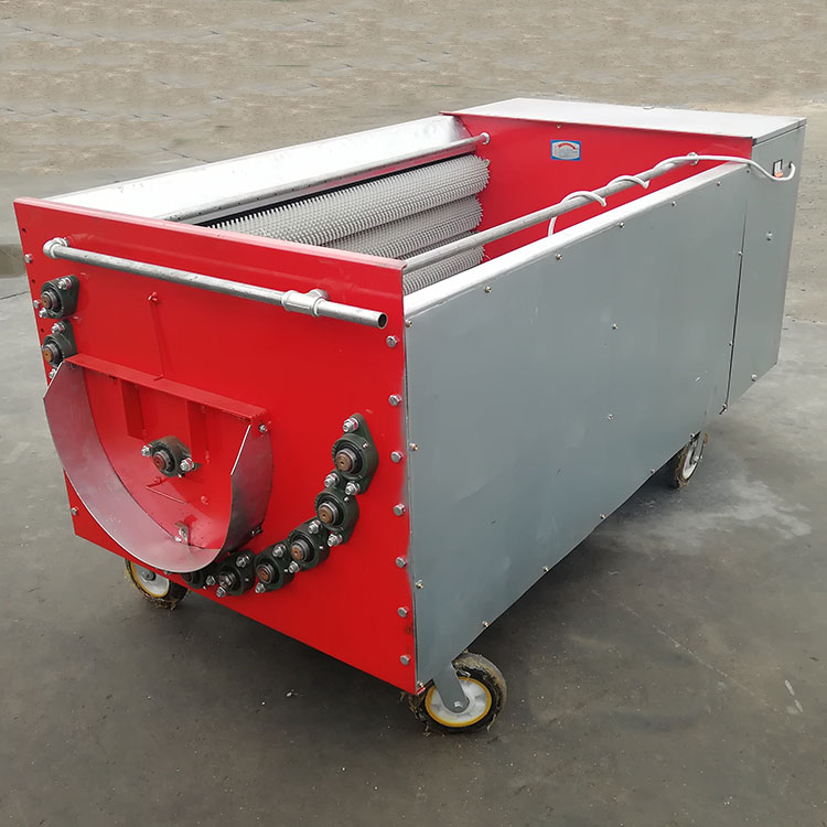 Summer beach concept