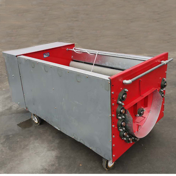 Summer beach concept