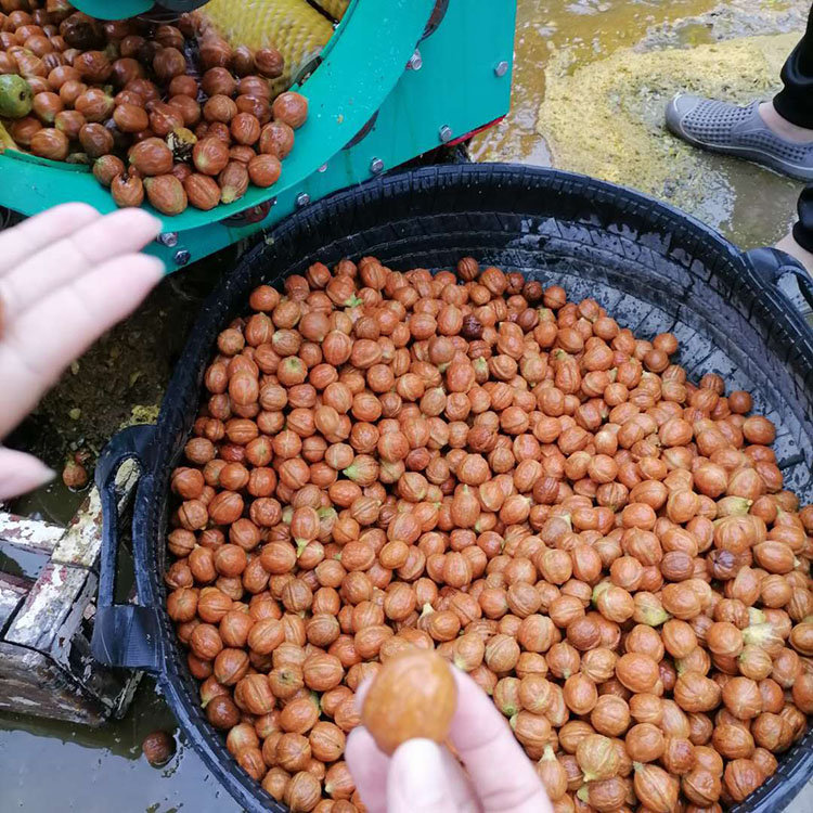 Summer beach concept