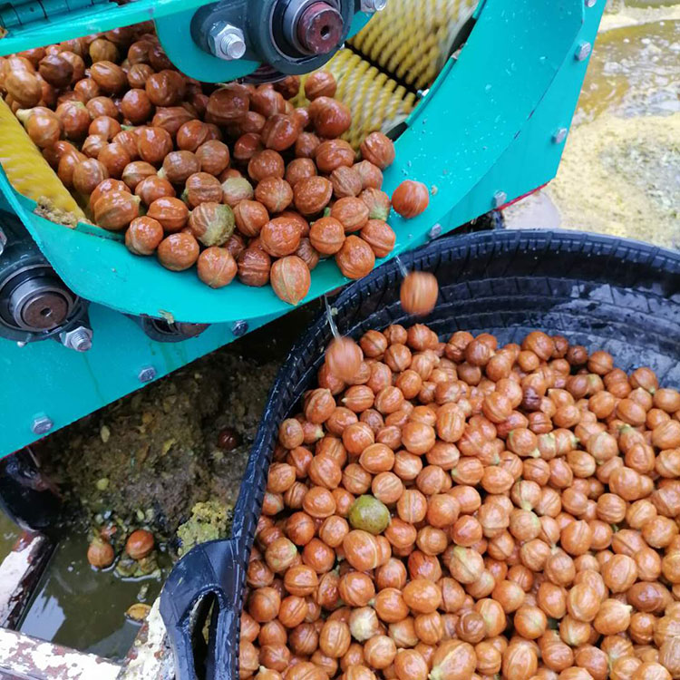 Summer beach concept