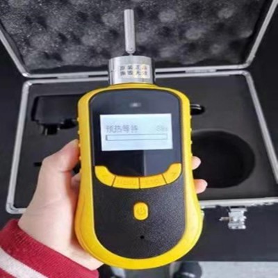 LB-QT-VOC 泵吸式VOC检测仪  光离子传感器