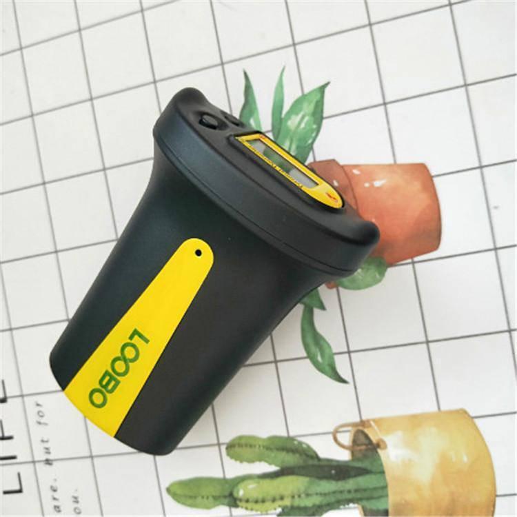 Summer beach concept