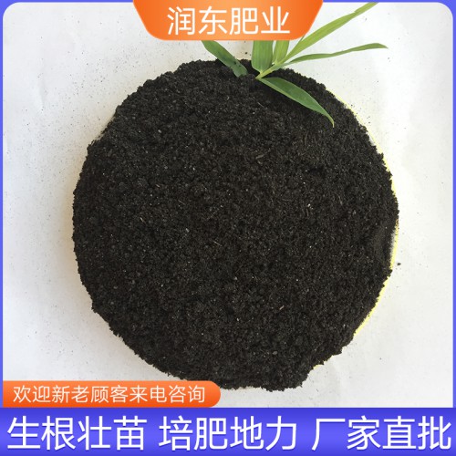 发酵猪粪 发酵猪粪有机肥菌肥 发酵纯猪粪厂家批发