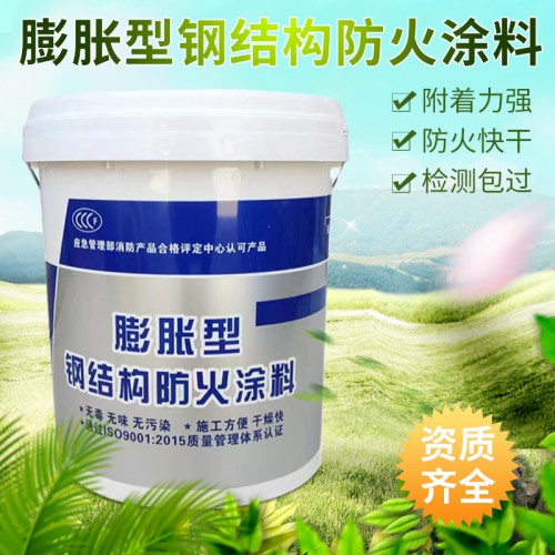 广东 阻燃 膨胀型钢结构防火涂料  生产厂家