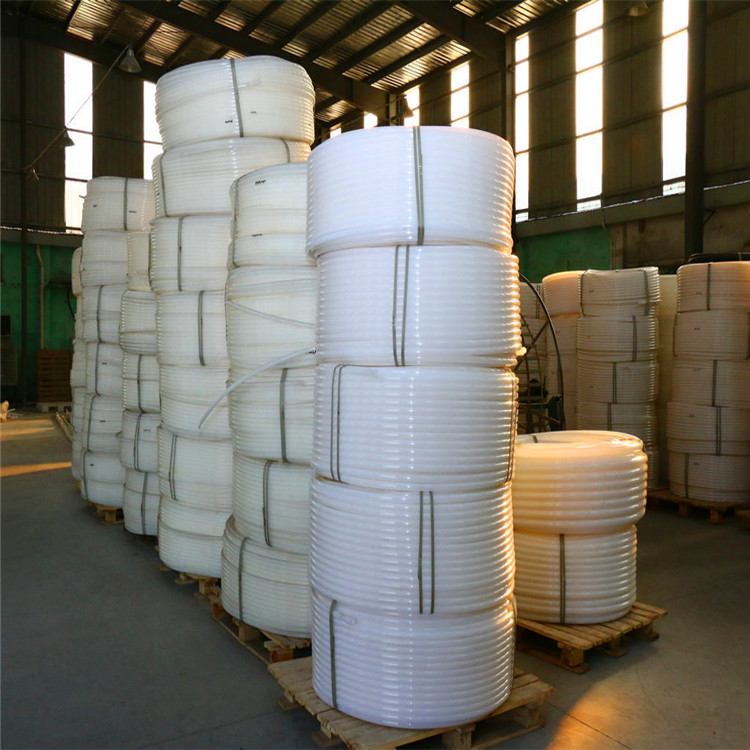 Summer beach concept