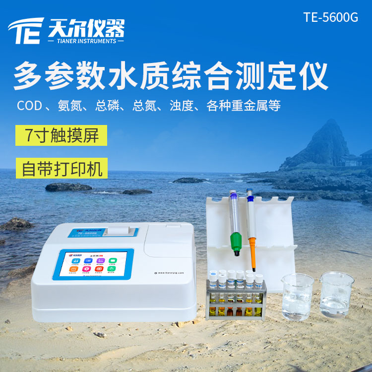 Summer beach concept