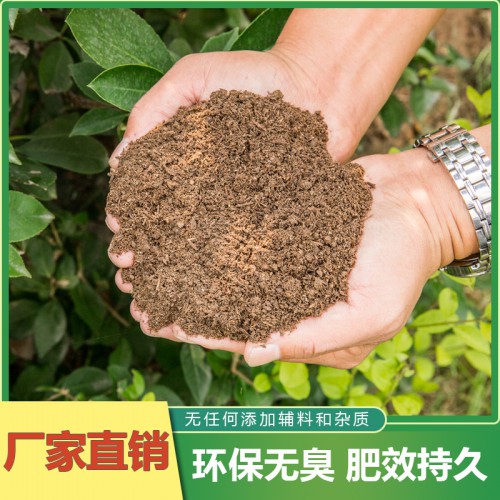 牛粪 发酵腐熟牛粪 发酵牛粪