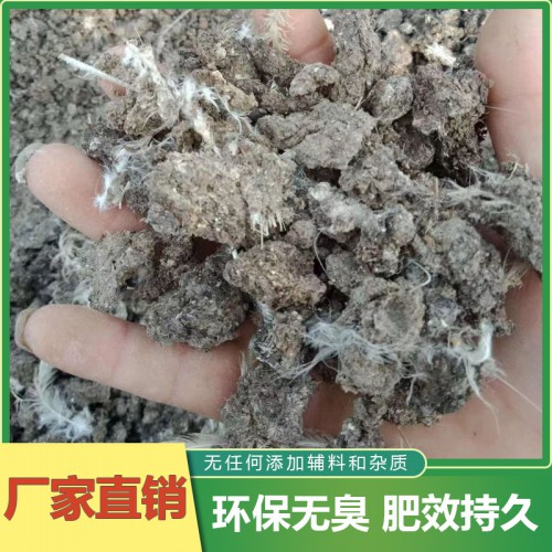 晒干鸡粪块 发酵干鸡粪 天然干鸡粪