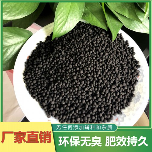 微生物菌肥 颗粒微生物菌肥 颗粒有机菌肥