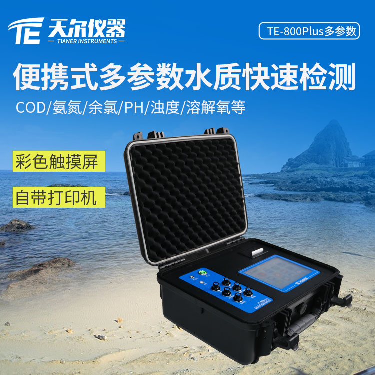 Summer beach concept