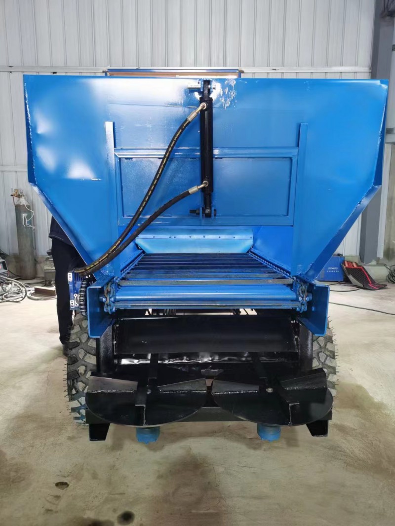 Summer beach concept