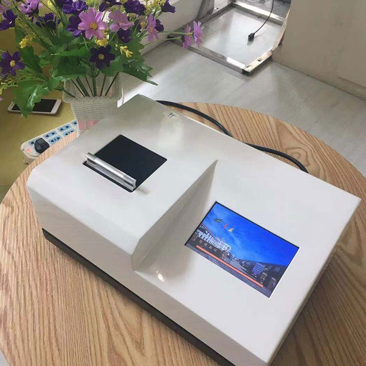 Summer beach concept