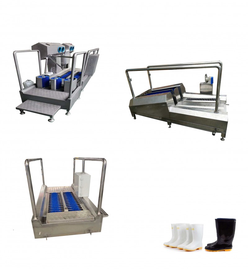 Summer beach concept