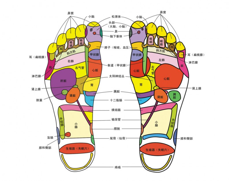 Summer beach concept