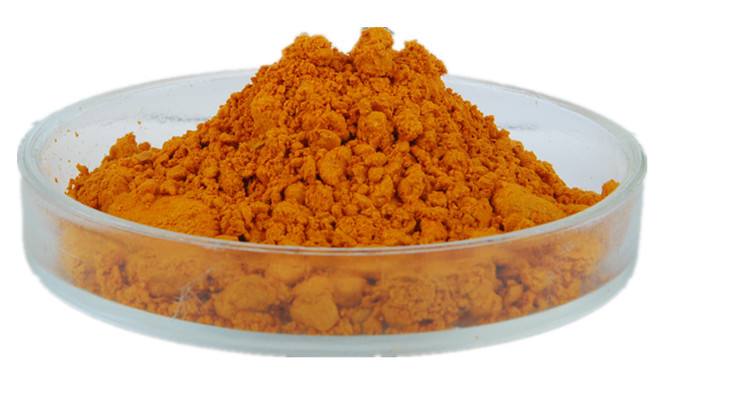 Summer beach concept