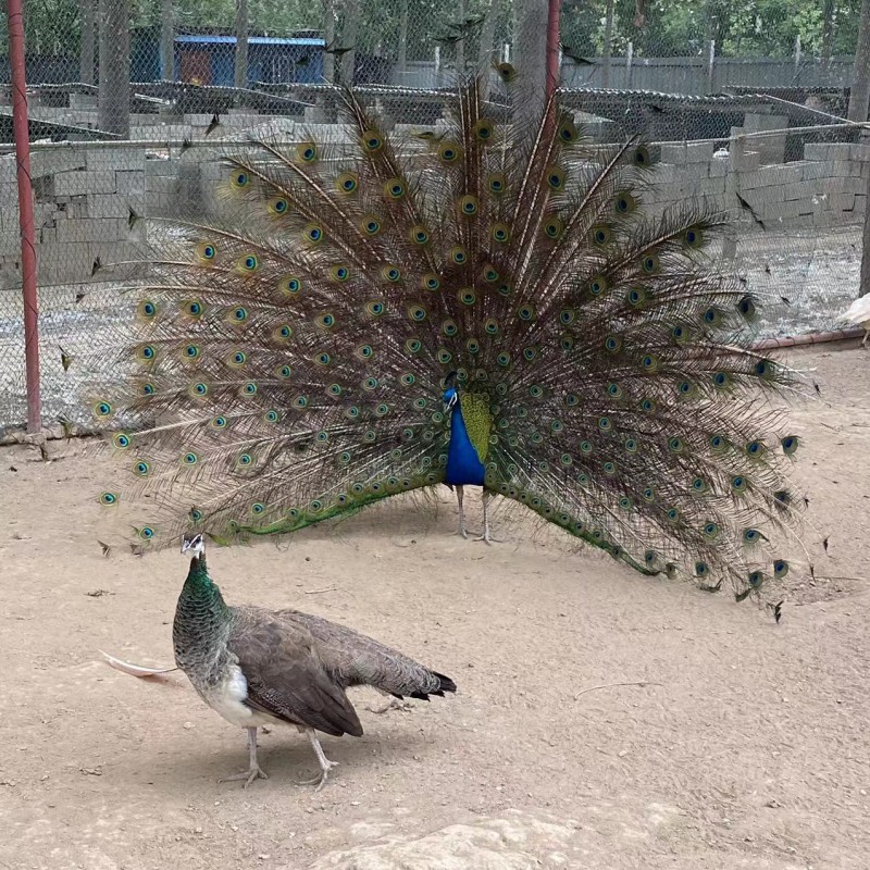 Summer beach concept