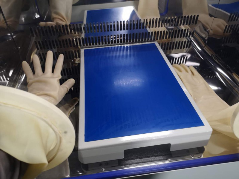 Summer beach concept