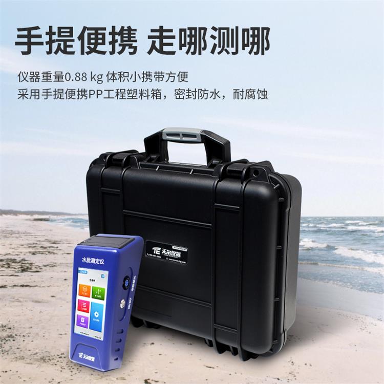 Summer beach concept