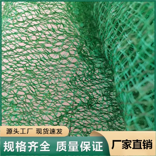 三维植被网 护坡三维植物网 固土三维植物网 绿化三维植物网