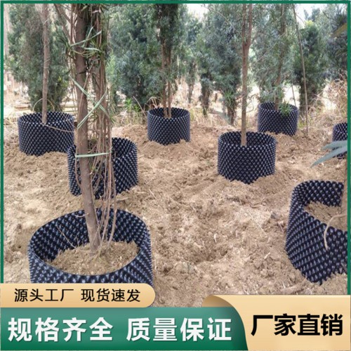 控根器 苗木果树移栽控根快速育苗容器 加厚园林苗木限根器