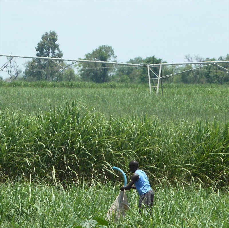 Summer beach concept