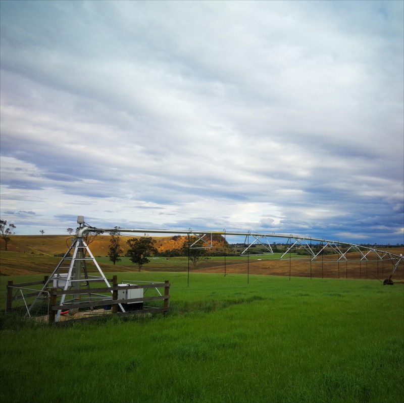 Summer beach concept