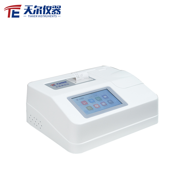 Summer beach concept