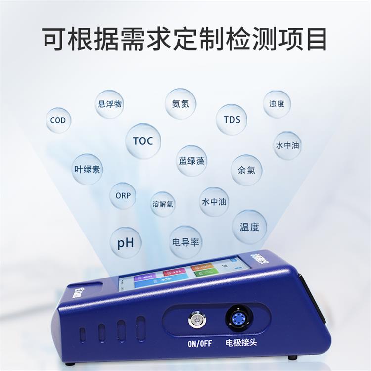 Summer beach concept